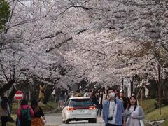 -醍醐寺