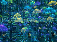 -杭州西湖星空魔幻城(星空艺术馆品牌旗舰店)