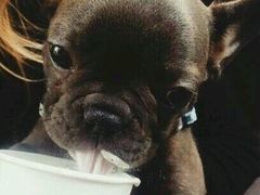 -星巴克(绵阳涪城凯德店)