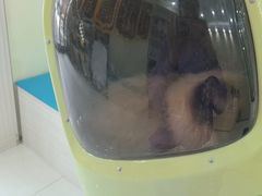 -天宠宠物医院24小时·急重症诊疗中心·全科·腔镜特色(和平分院)