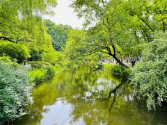 -上海共青森林公园