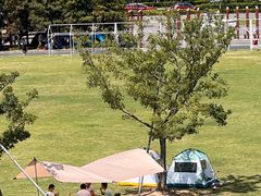 -春花秋色城市公园