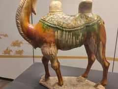-陕西历史博物馆