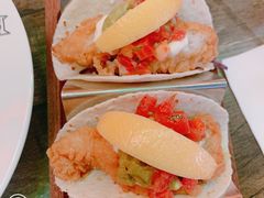 -Famous肥猫墨西哥音乐餐吧(五棵松华熙LIVE店)