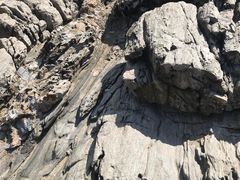 -盐洲岛
