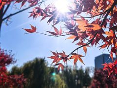 -西海子公园