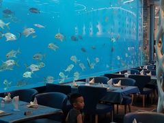 大堂-瑞德姆美人鱼海底演艺主题餐厅(亚龙湾店)