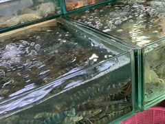 -班赞海鲜市场