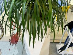 -贝乐少儿英语·全外教(滨江中心)