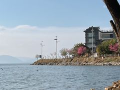 -大理洱海