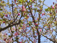 -天鹅湖体育公园