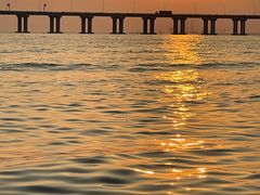 -宝安西湾红树林湿地公园