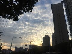-伊莱素质成长中心(浦东花木校区)