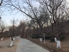 -北京张裕爱斐堡酒庄