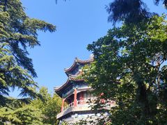 -颐和园