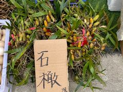-竹一味·竹筒饭