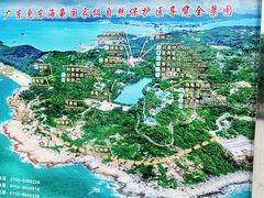 -广东惠东海龟国家级自然保护区