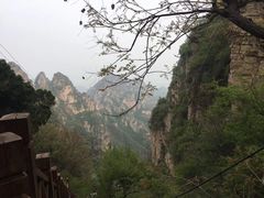 -狼牙山风景区