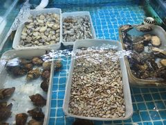 -吉香碳烤生蚝(仙霞路店)