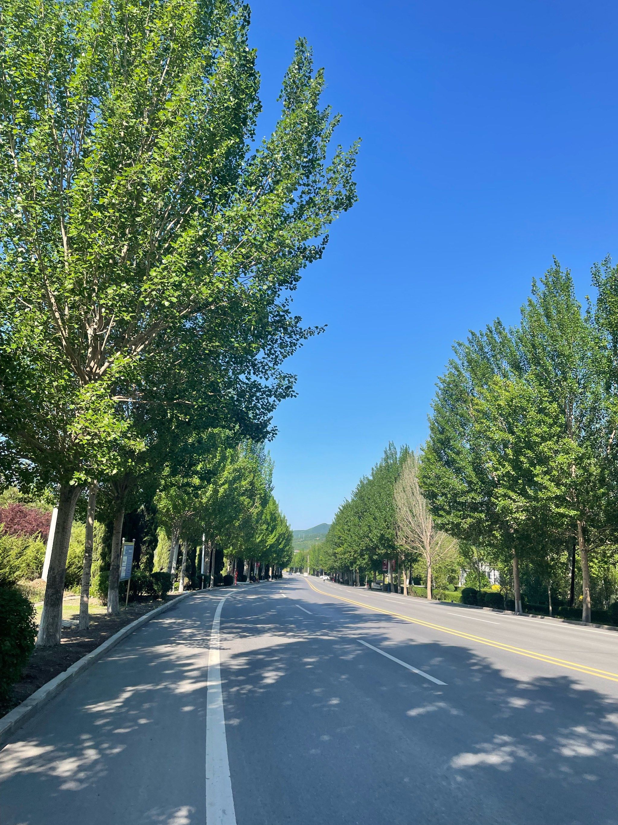 天天领红包日常的美景总是被我们忽略,用
