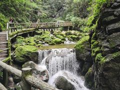 -牛背梁国家森林公园
