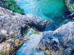 -南海湾森林生态园