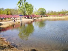 -永定河休闲森林公园