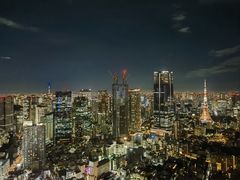 -六本木新城展望台(东京城市景观)