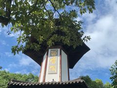 -上海佘山国家森林公园天马山园