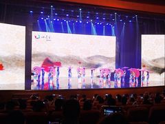 汇报演出-小荧星艺校(浦东中环分校)
