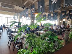 -泰达航母主题公园