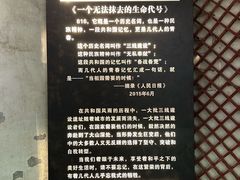 -816工程景区