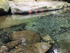 -福清灵石山国家森林公园