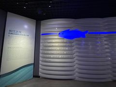 -白鹤梁水下博物馆