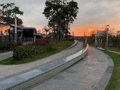 -招商蛇口邮轮母港(观光客运)