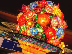 -锦江乐园舞狸花花游园会(夜场专享)