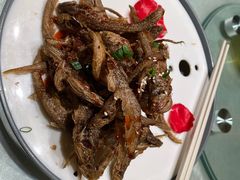 -解家河南菜(金水路店)