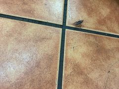 -润生堂(泰然四路店)