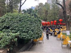 -绵阳人民公园(涪城区)