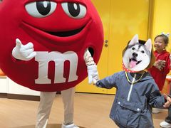 -m豆巧克力世界(上海世茂广场店)