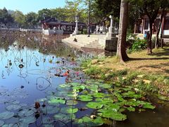 -惠州西湖风景名胜区-丰渚园