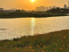 -洋湖国家湿地公园