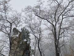 -泰山风景名胜区