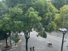 -眉山湿地公园(东坡区)