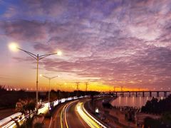 -宝安西湾红树林湿地公园