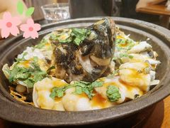 九层塔焗龙胆石斑-林四喜·闽南传家菜(鼓浪屿店)