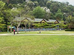 -野象谷景区