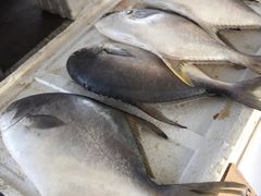 -何庄子阿米玛玛农产品批发市场