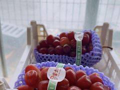 -马陆小张葡萄园农家乐