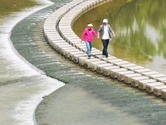 -洨河生态公园